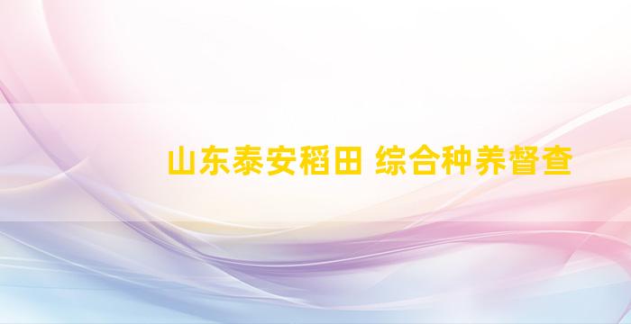 山东泰安稻田 综合种养督查